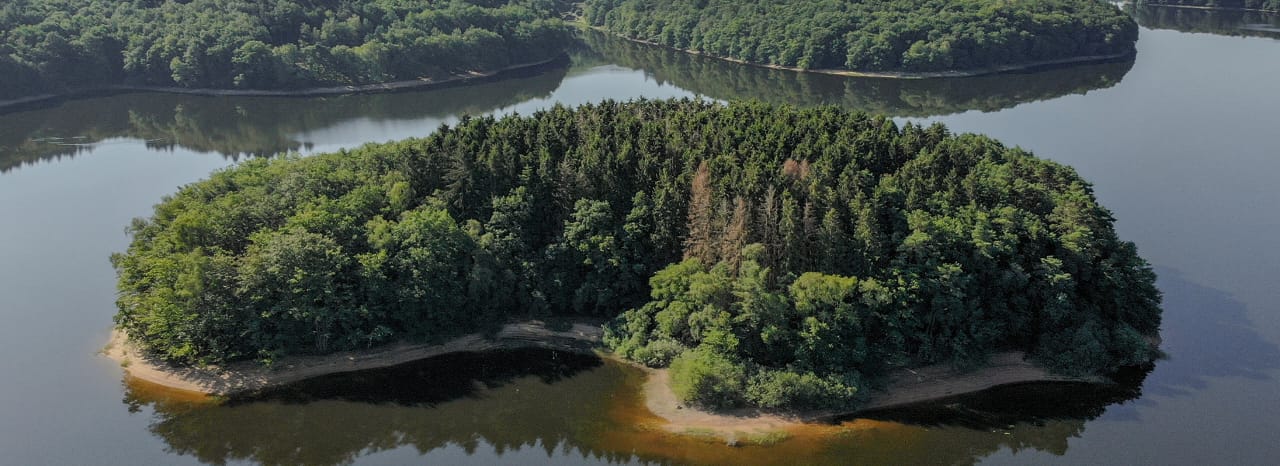 Paysage forestier entouré d’un cours d’eau